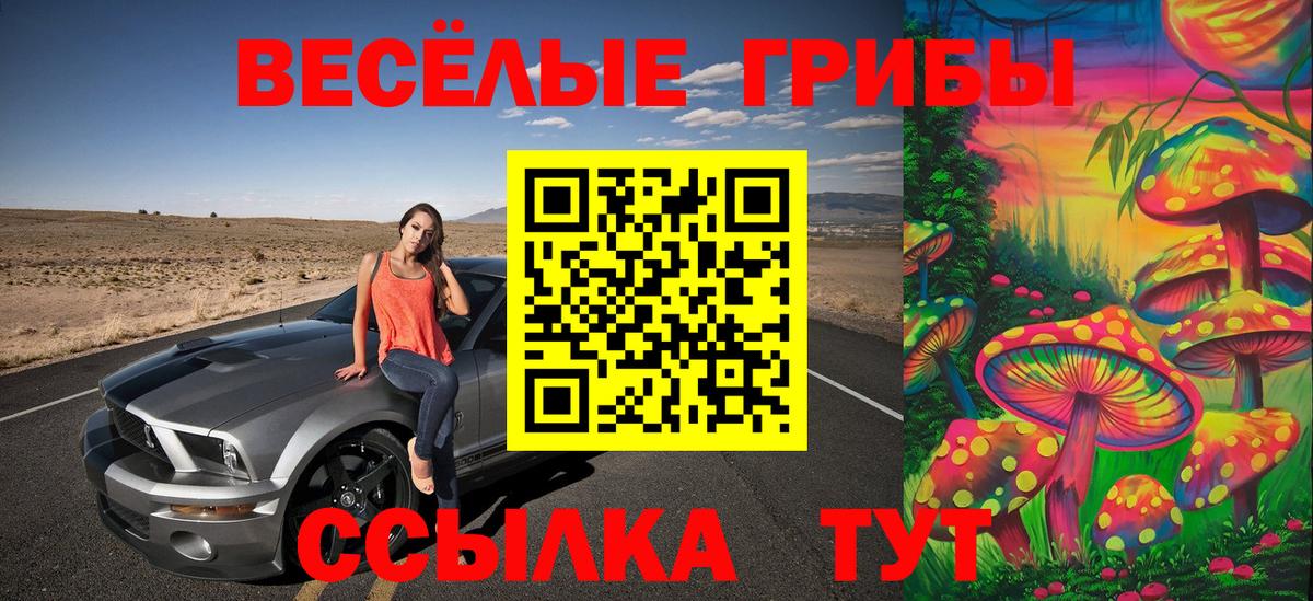 Галлюциногенные грибы прущие грибы Мариинск